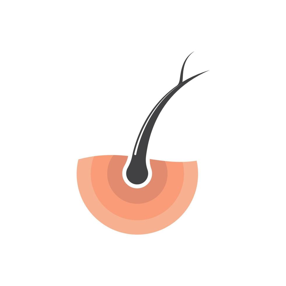 haar- wortel icoon vector illustratie ontwerp