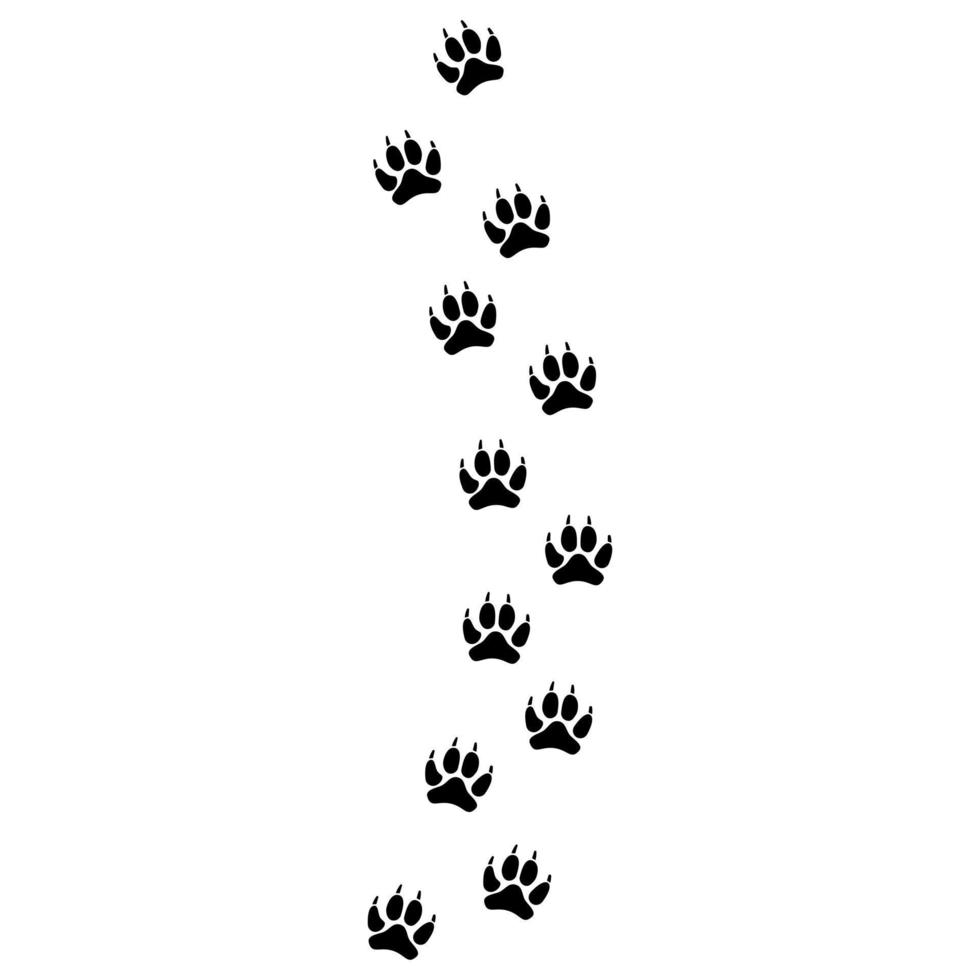 wolf poot icoon vector set. dier voetafdrukken illustratie teken verzameling. wild leven symbool of logo.