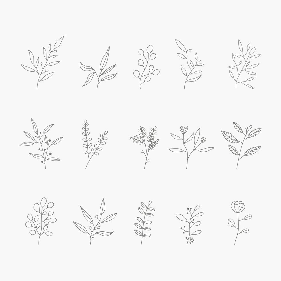 vector botanische collectie van takken en bladeren. botanische hand getrokken stijl vectorillustratie.