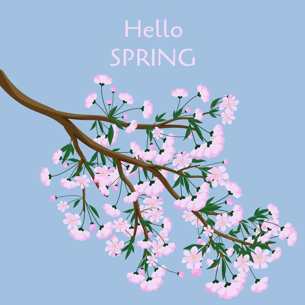 sakura bloesem Afdeling geïsoleerd. Hallo voorjaar poster of spandoek. vlak vector illustratie