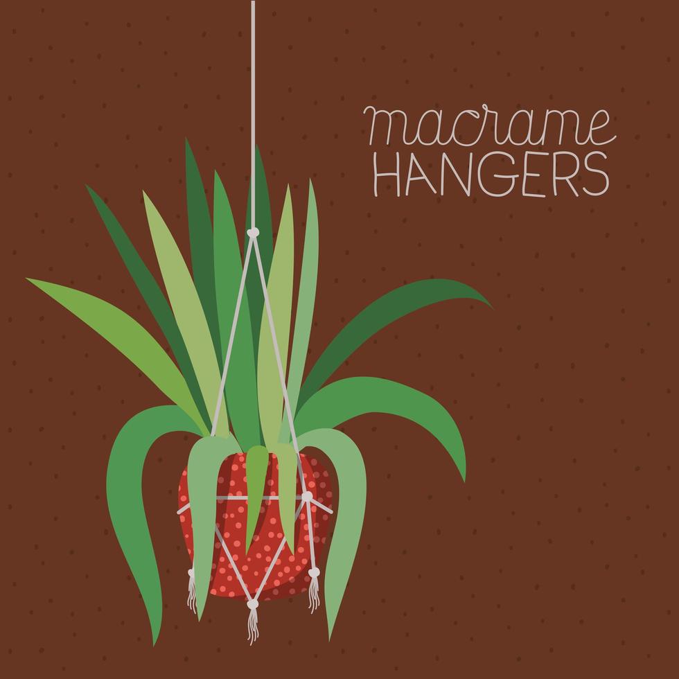 kamerplant in een macramé hanger vector