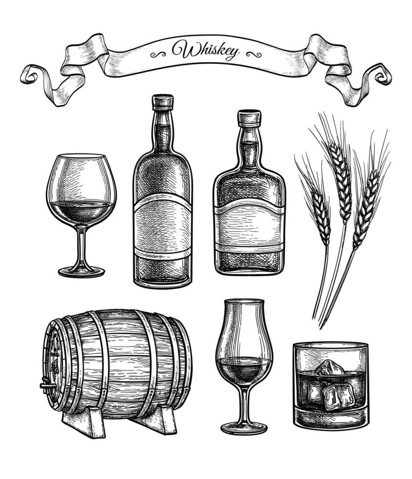 whisky set. inkt schetsen geïsoleerd Aan wit achtergrond. hand- getrokken vector illustratie. retro stijl.