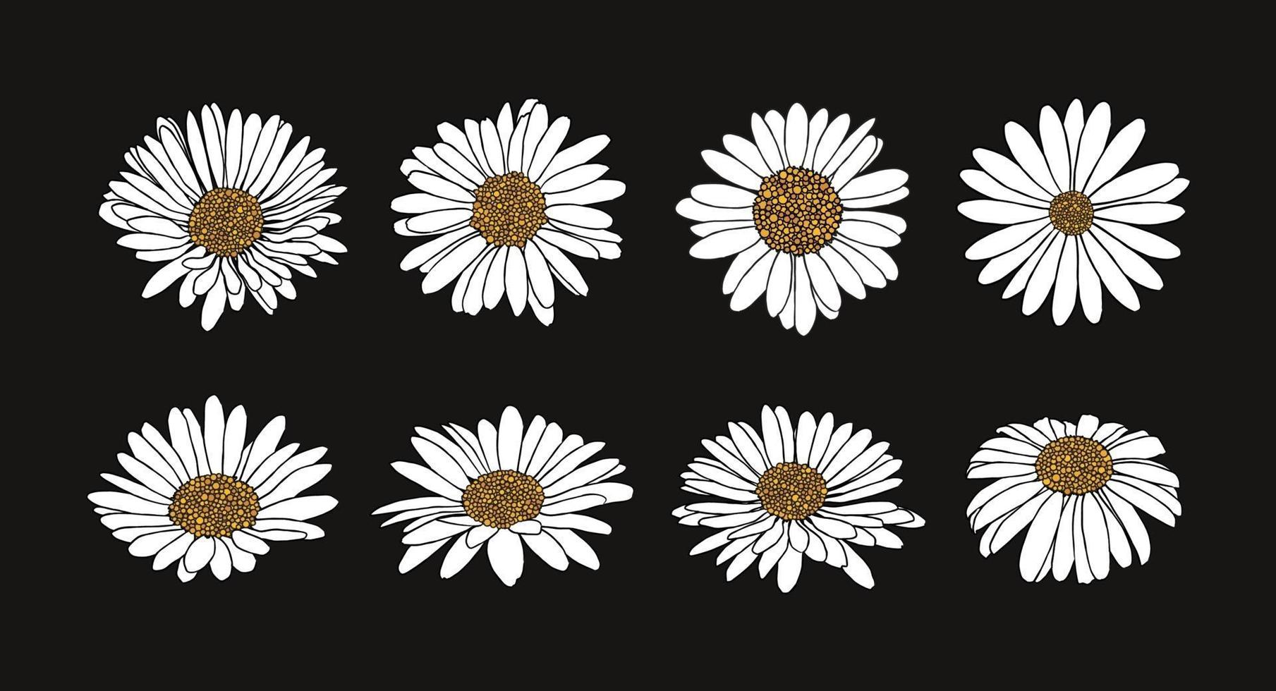 verzameling van daisy flower met inkt stijl vector