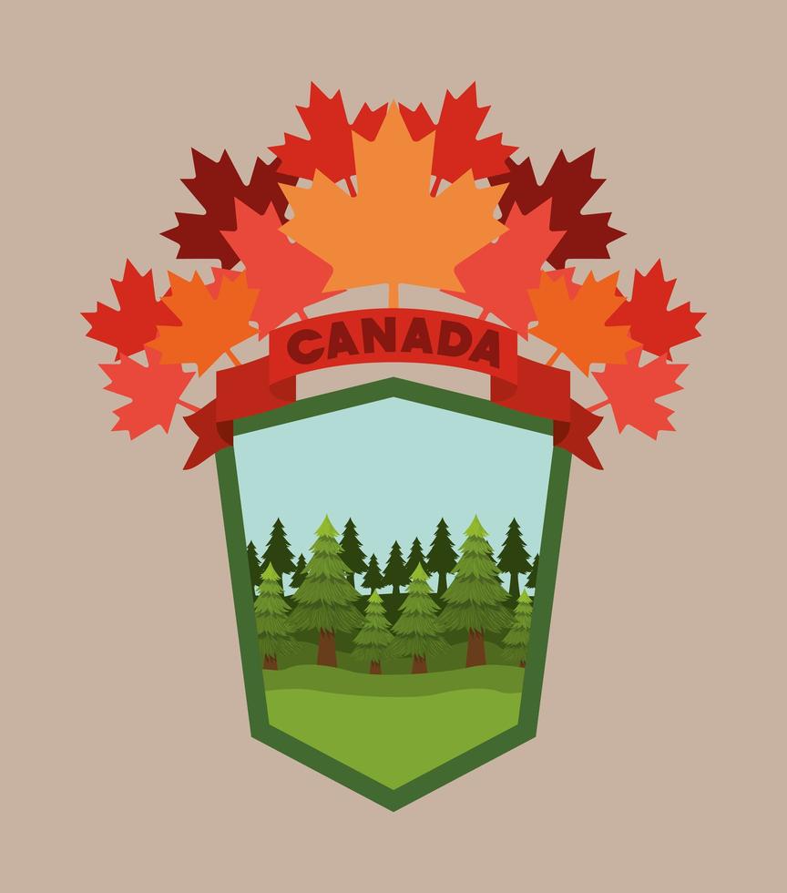 Canada-symbool en ontwerp van esdoornbladeren vector