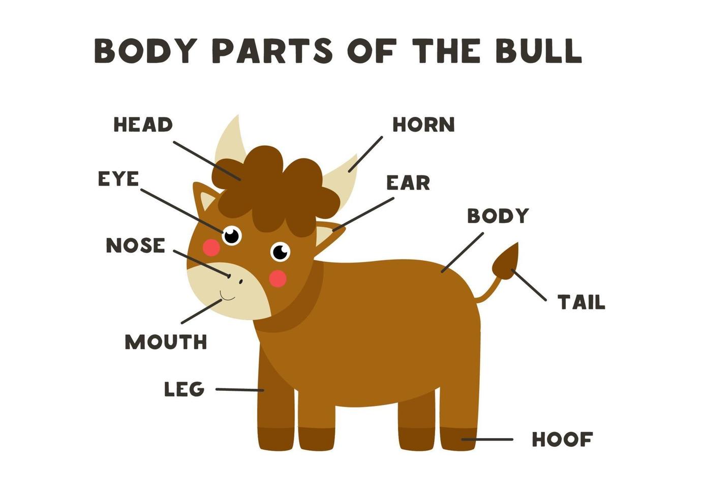 lichaamsdelen van de stier. regeling voor kinderen. vector