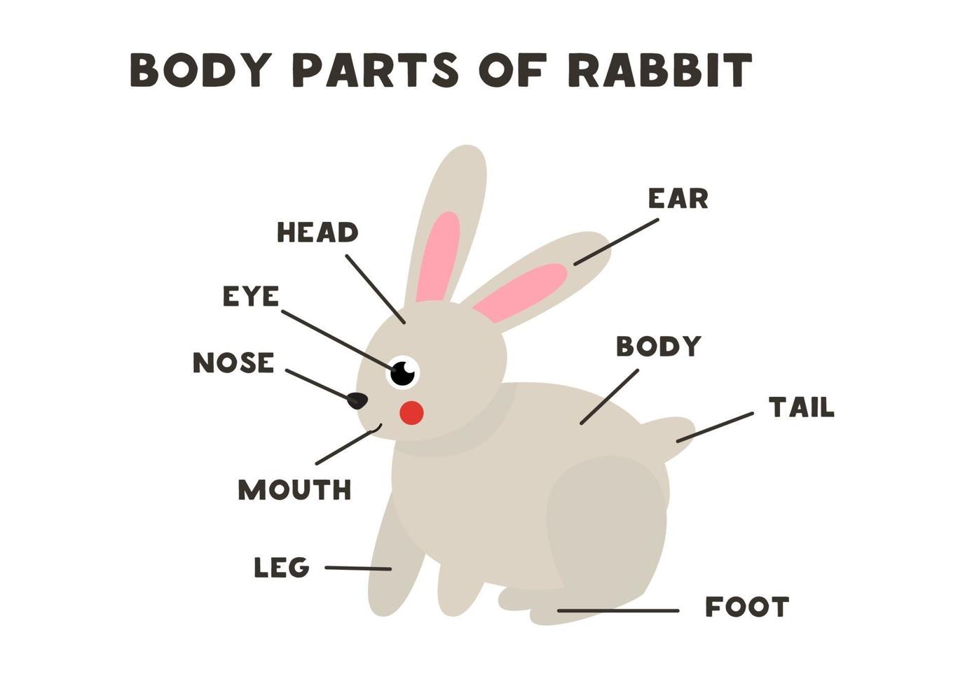 lichaamsdelen van het konijn. regeling voor kinderen. vector
