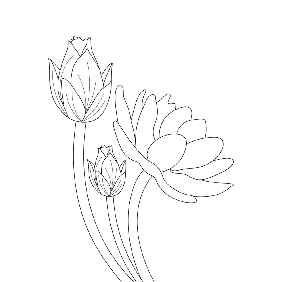 water lelie bloem kleur bladzijde en boek lotus hand- getrokken lijn kunst vector