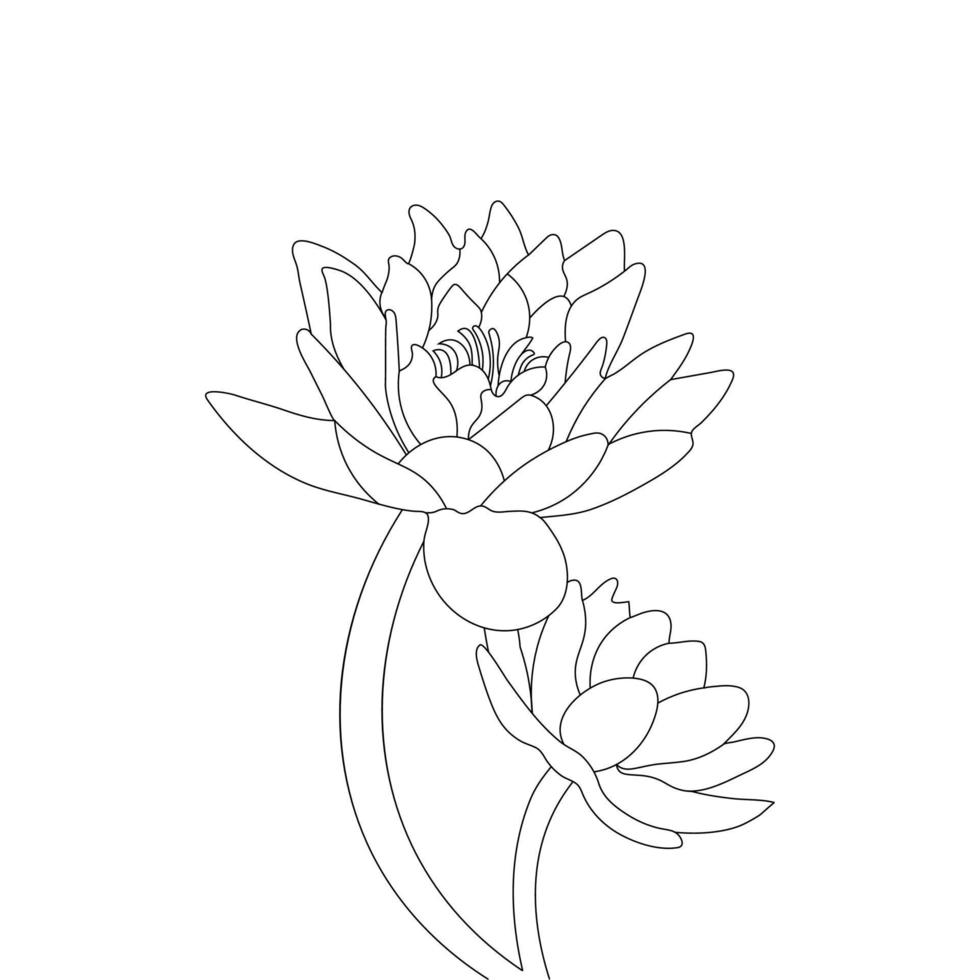 water lelie bloem kleur bladzijde en boek lotus hand- getrokken lijn kunst vector