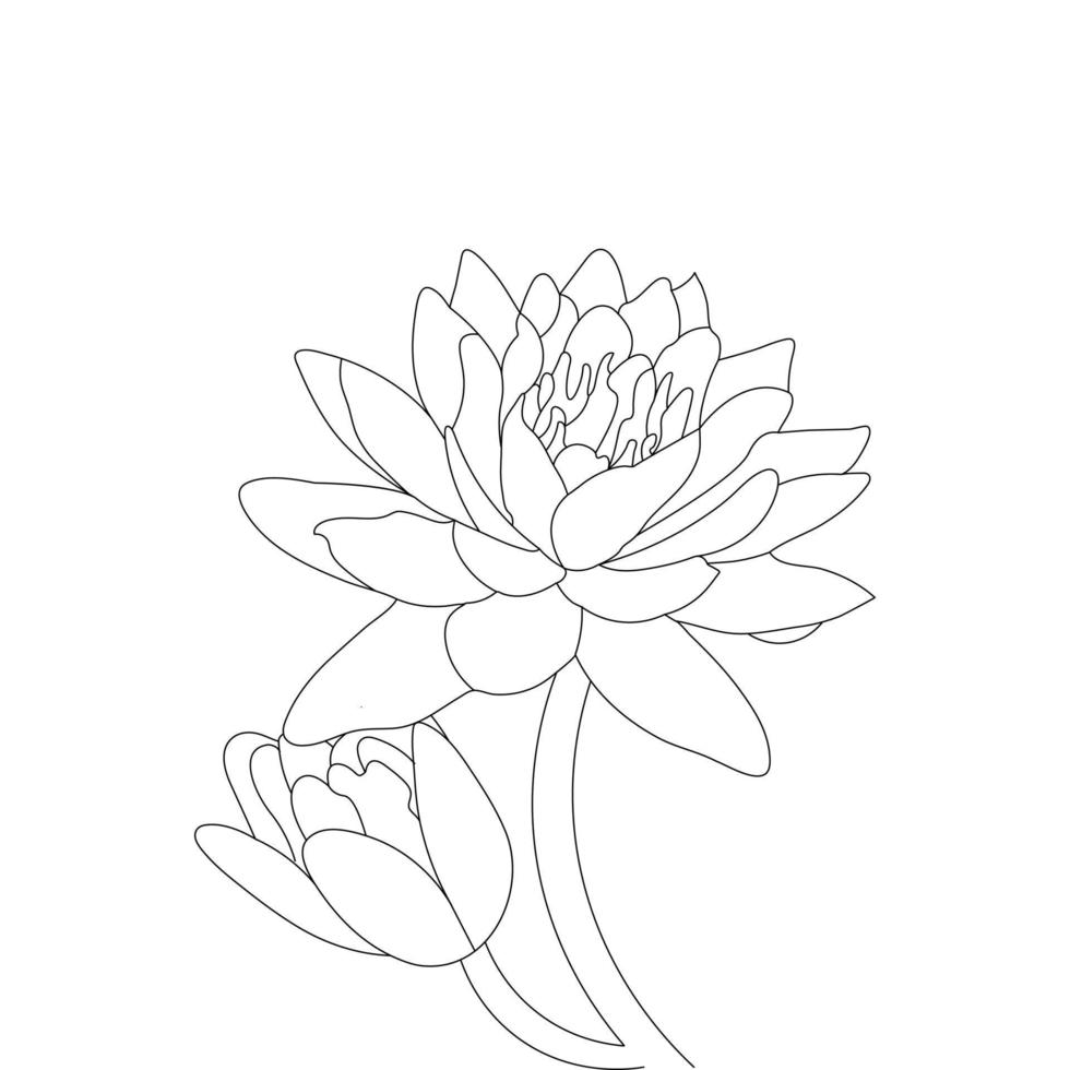 water lelie bloem kleur bladzijde en boek lotus hand- getrokken lijn kunst vector