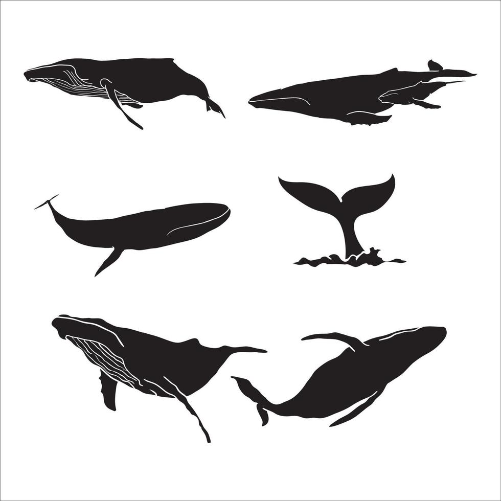 walvis silhouet hand- getrokken verzameling vector