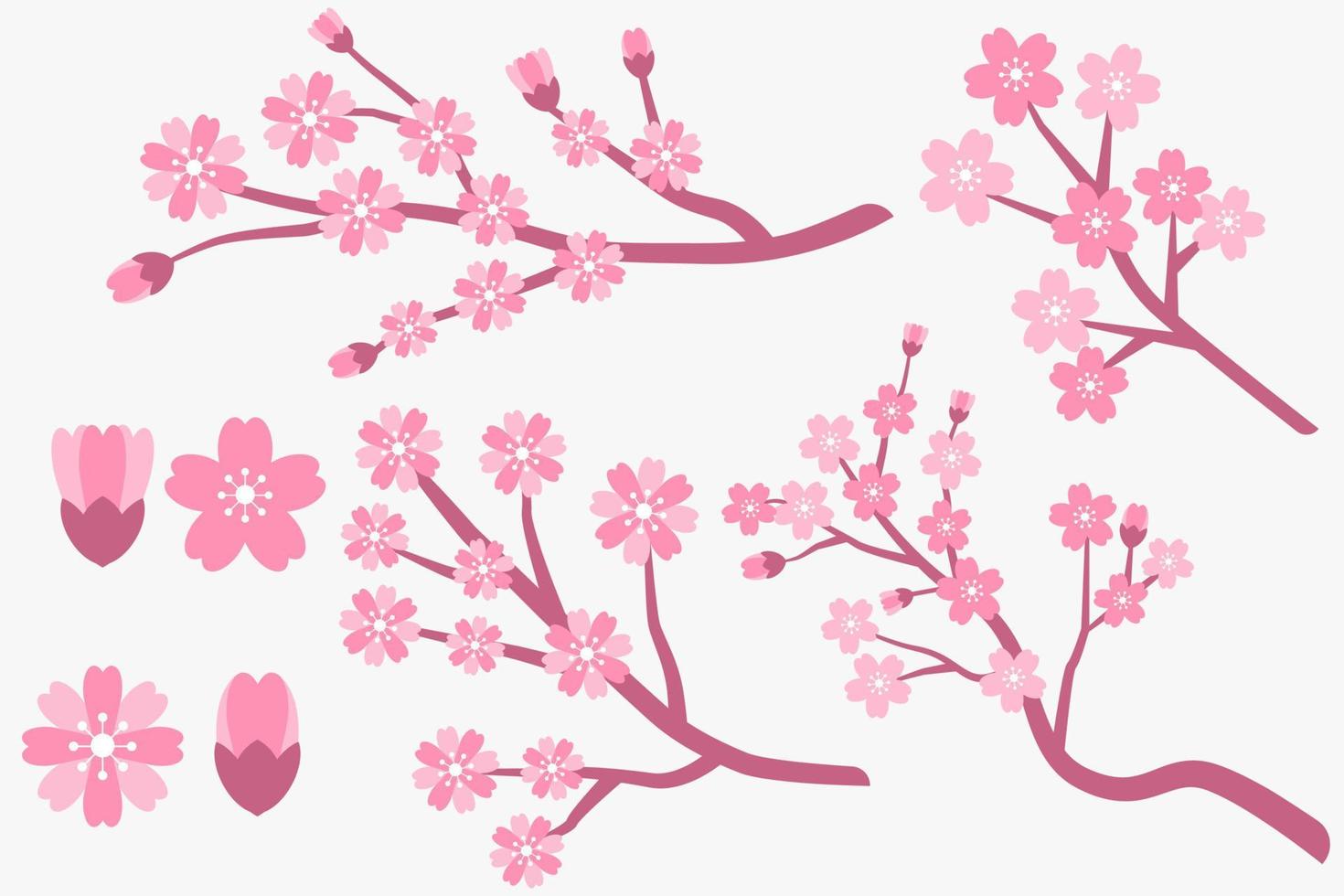 vlak ontwerp kers bloesem, sakura takken en bloemen verzameling vector