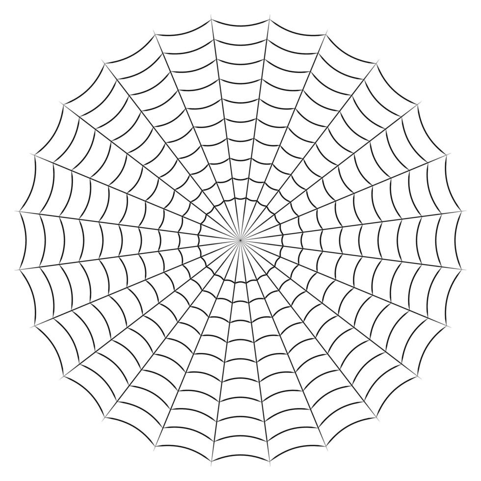 ronde spin spinneweb gemakkelijk lineair voorraad illustratie vector