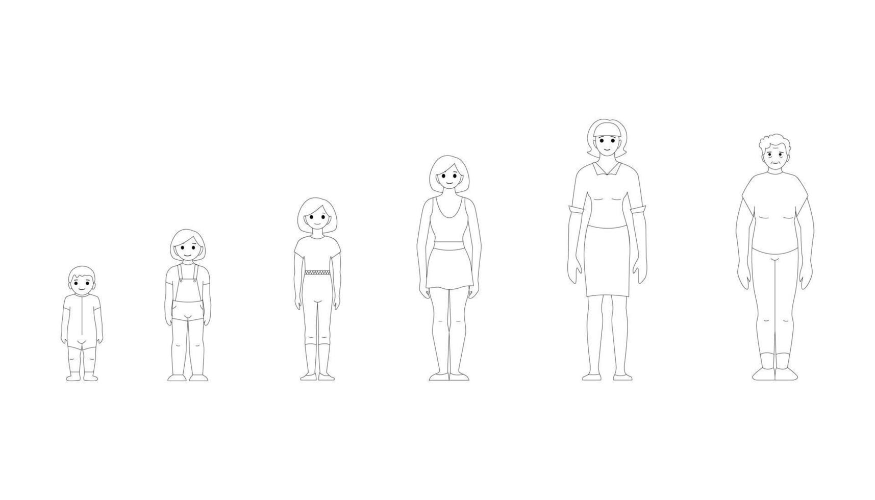 stadia van groeit omhoog van een meisje, van baby naar oud Mens, vector zwart en wit tekening
