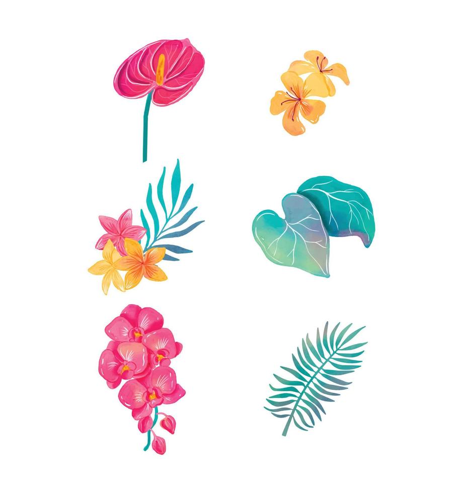 mooi waterverf tropisch bloemen vector