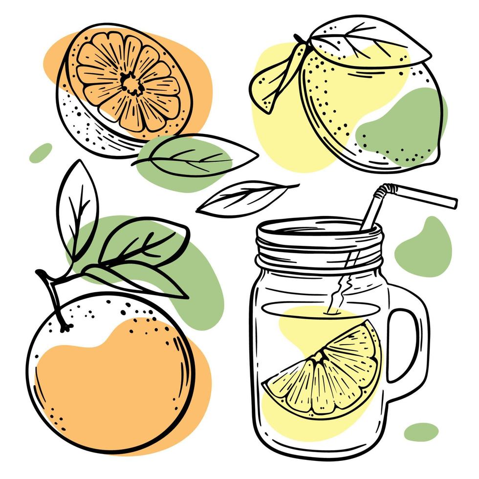 citroen oranje sap heerlijk fruit hand- getrokken vector reeks
