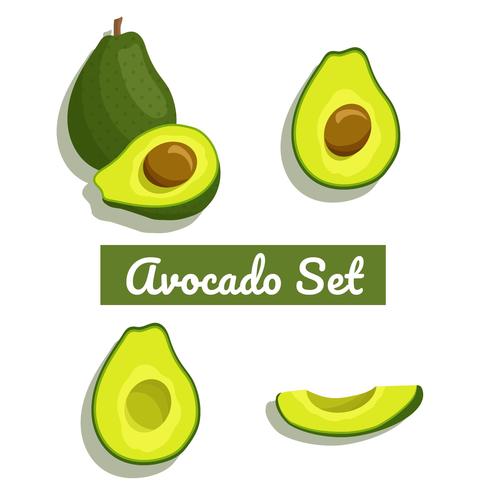 Avocado stel vector