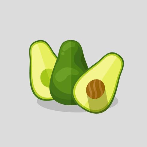 Avocado vectorillustratie vector