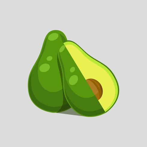 Avocado vectorillustratie vector