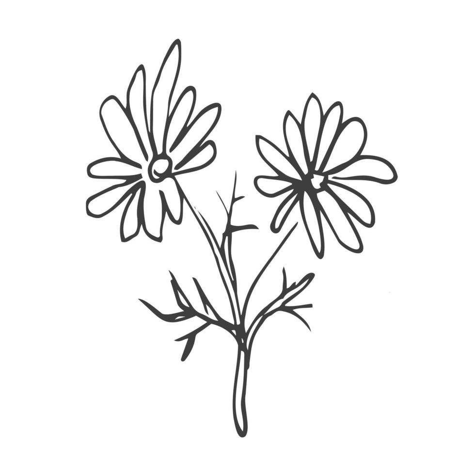 hand- getrokken tekening bloemen. reeks van schetsen van verschillend zomer bloemen. roos, tulp, dahlia, lelie, kamille en bladeren lijn kunst. vector illustratie