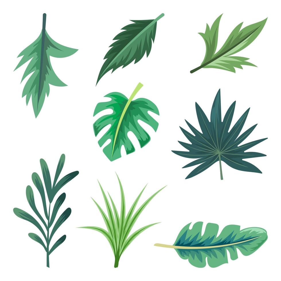 verzameling van prachtige tropische bladeren geïsoleerd op een witte achtergrond. vector