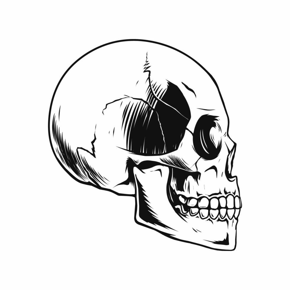 schedel tekening van kant ontwerp vector