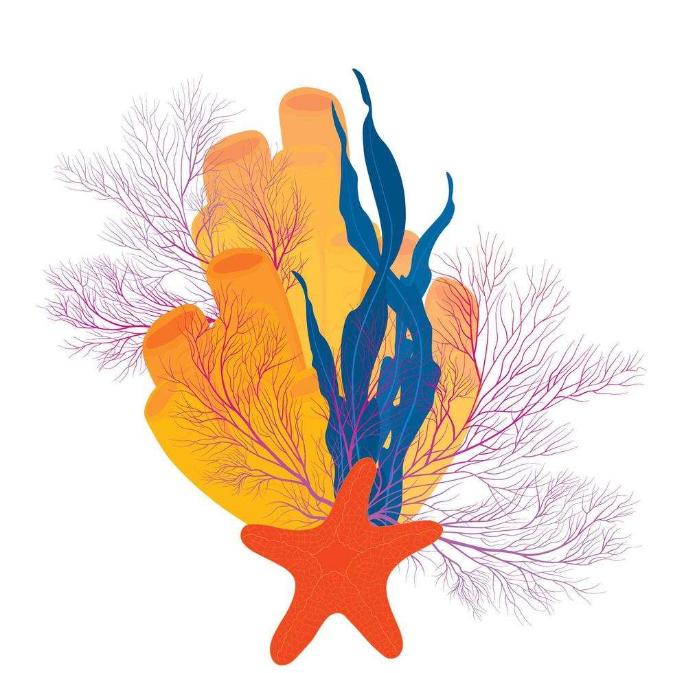 koralen en zeewier. vector botanisch illustratie. onderwater- flora, zee planten. onderwater- wereld. duiken. natuurlijk marinier en aquarium elementen, water