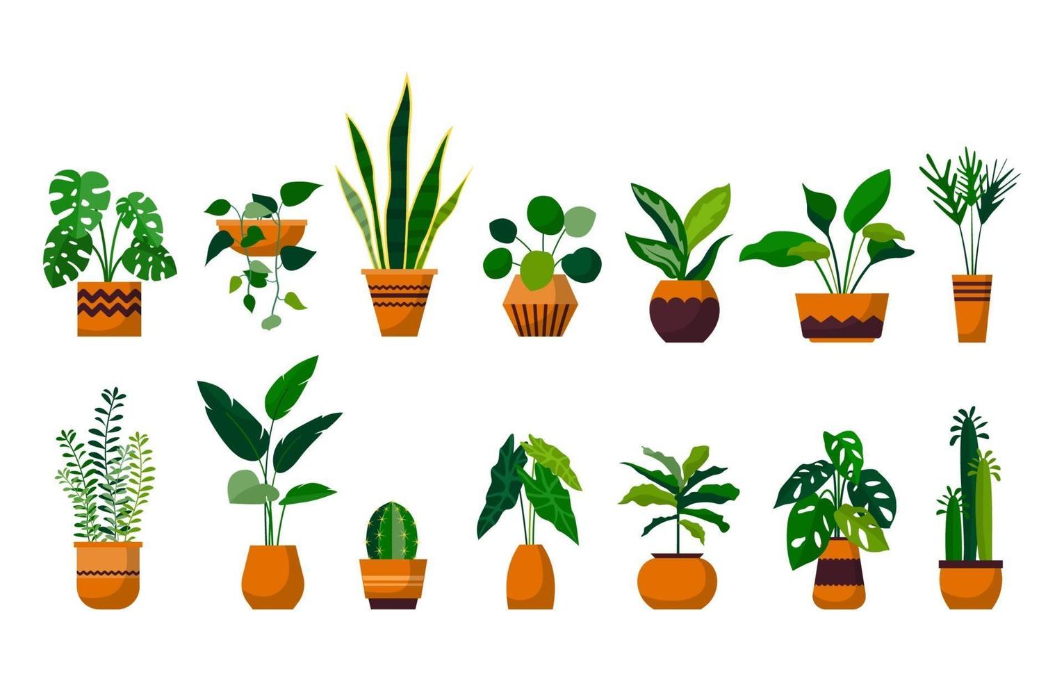 kamerplant groene decoratieve plant tuin botanische vector set