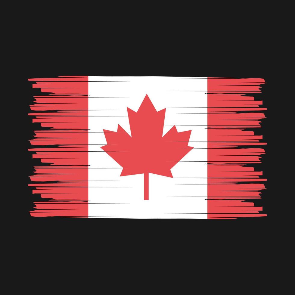 Canadese vlagborstel vector