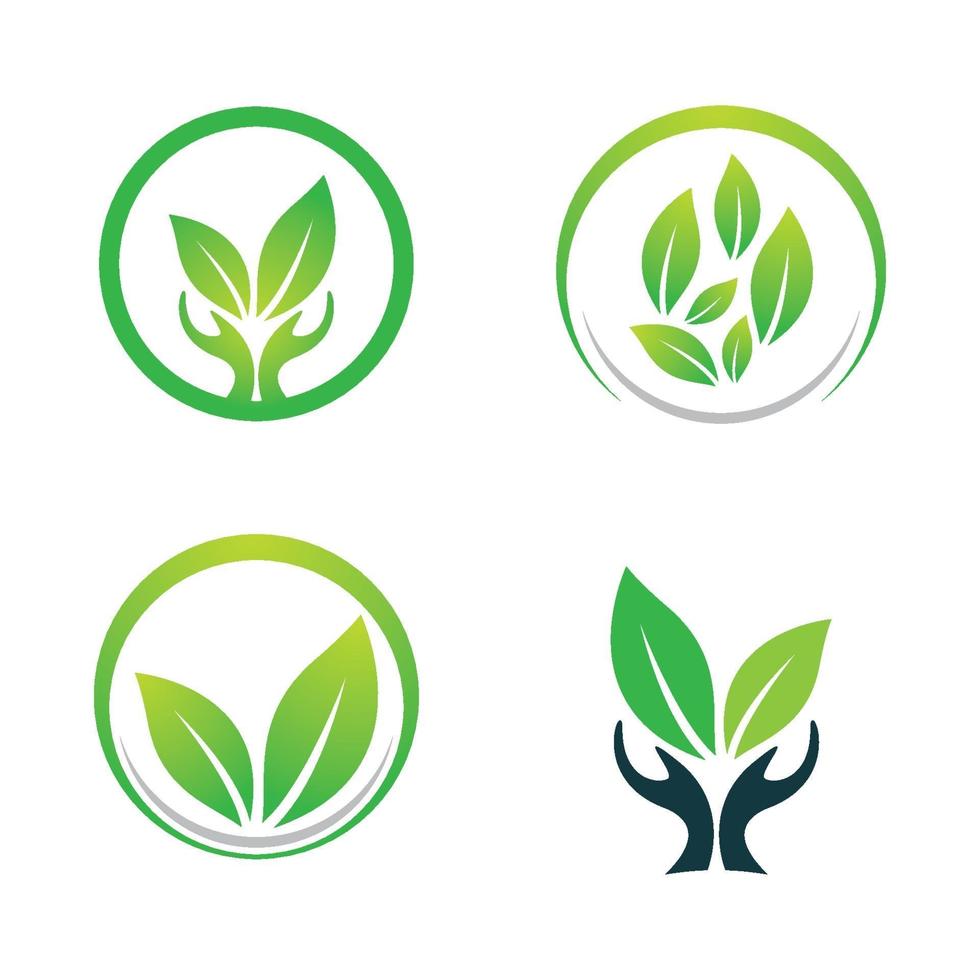 ecologie logo afbeeldingen illustratie set vector