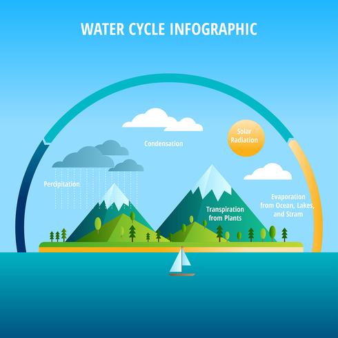 watercyclus onderwijs vector
