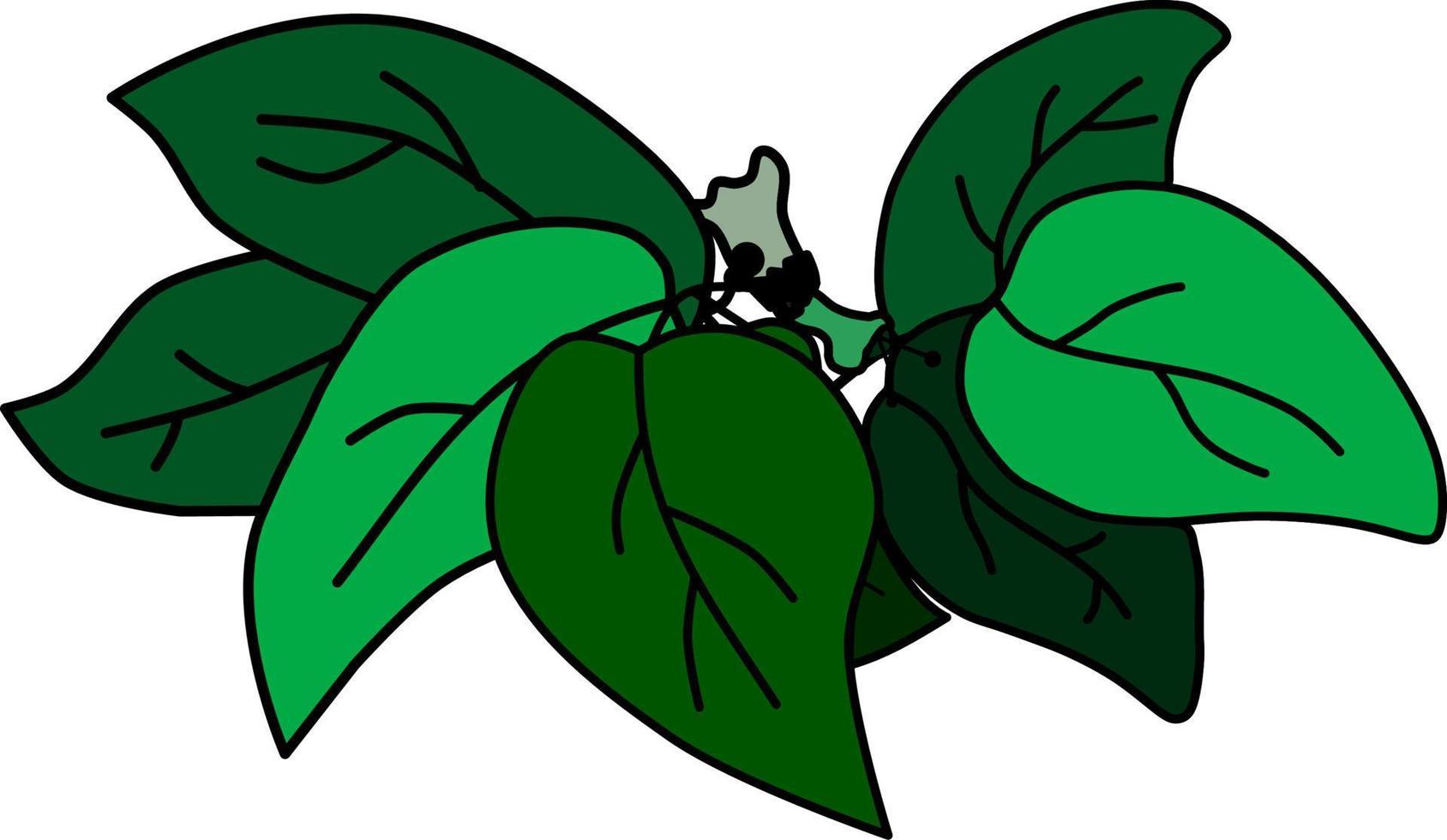 rozen, planten, groen bladeren, bloemen vector