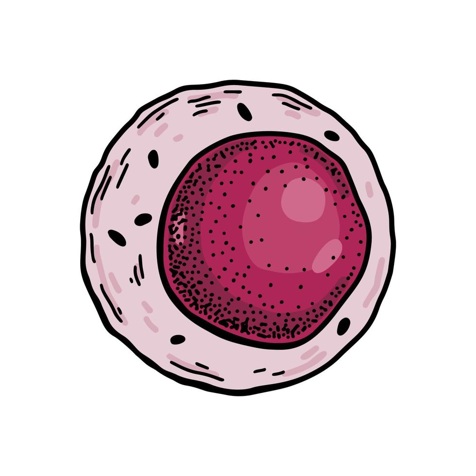 myeloïde bloed stam cel geïsoleerd Aan wit achtergrond. hand- getrokken wetenschappelijk microbiologie vector illustratie in schetsen stijl