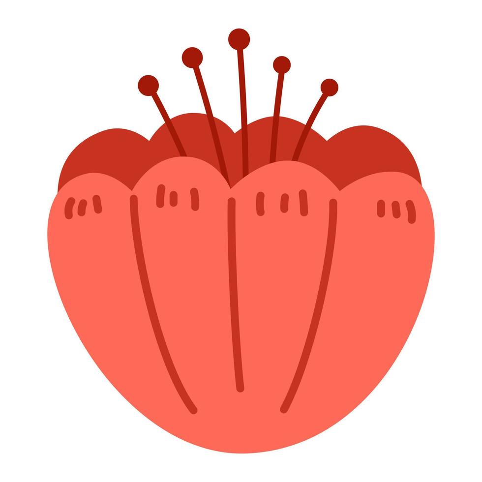 vector illustratie van rood tulp met meeldraden. abstract bloem in vlak ontwerp. bloesem tulp in rood kleur. voorjaar botanisch illustratie. Scandinavisch clip art.