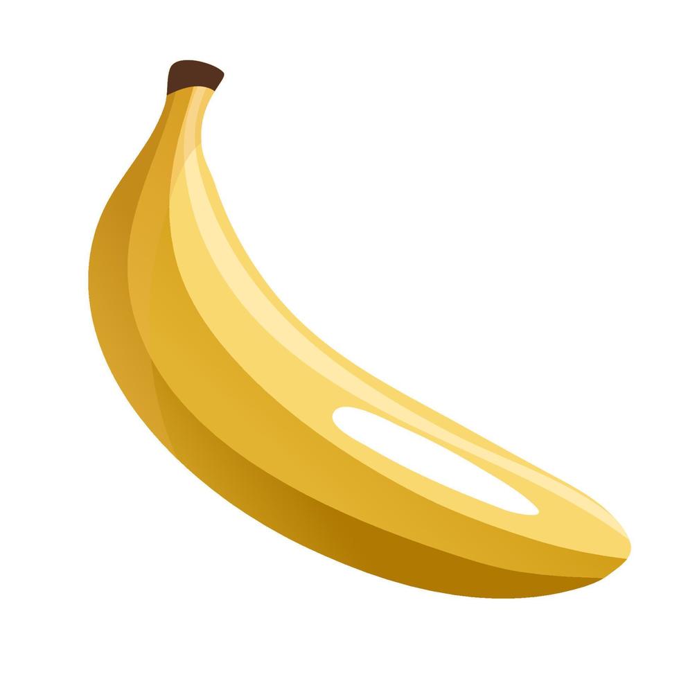 weegbree banaan geïsoleerd Aan wit achtergrond. vector illustratie van vers tropisch fruit in tekenfilm vlak stijl.