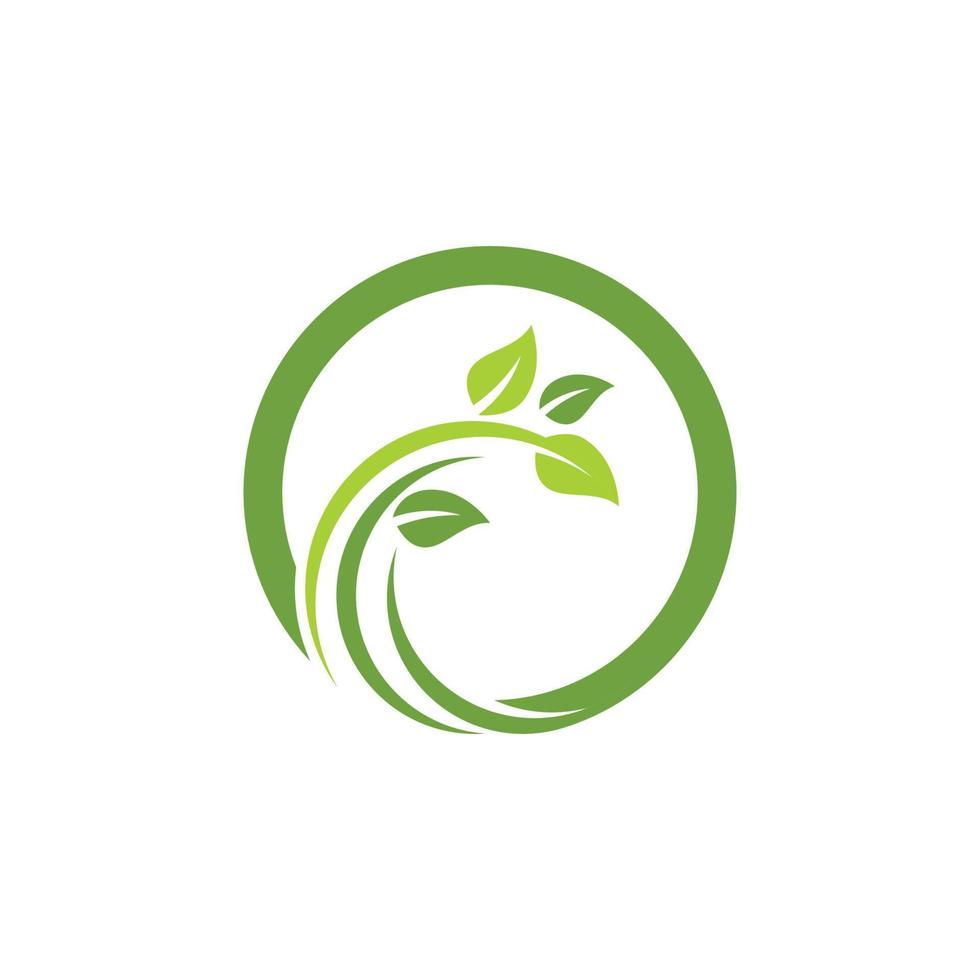 logo's van groene boom blad ecologie vector