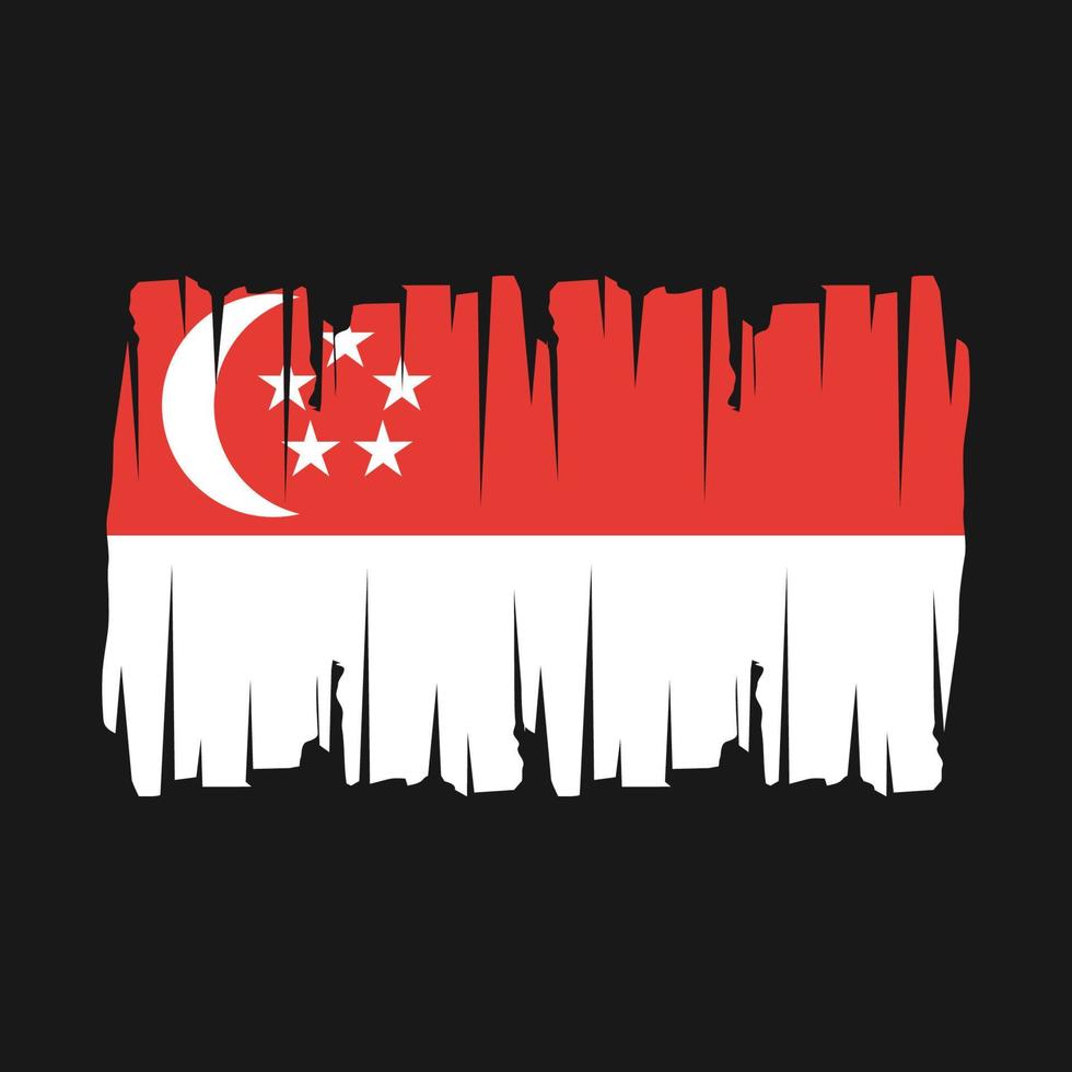 Singapore vlag vector illustratie