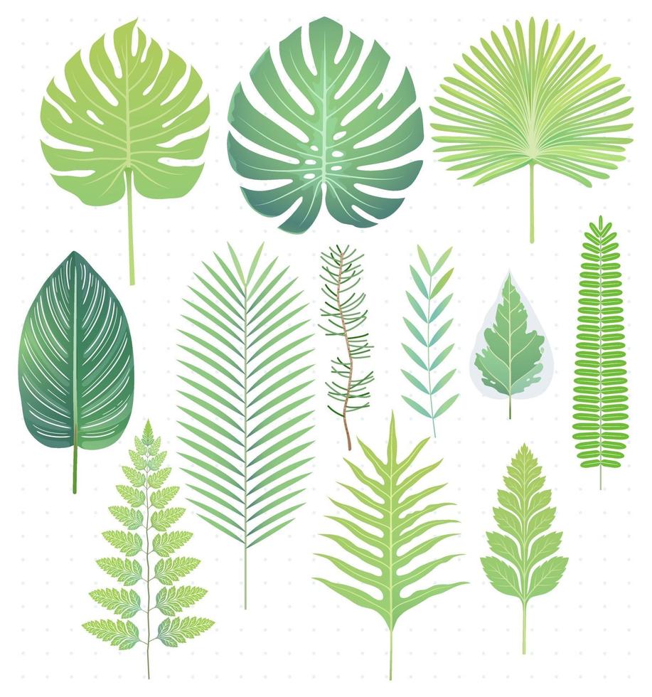 groene tropische bladeren instellen vectorillustraties vector