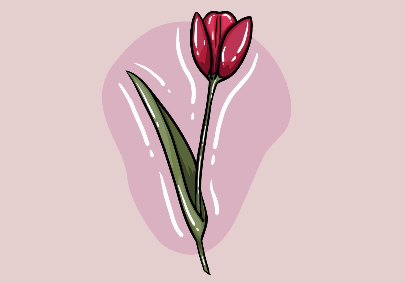 mooi kleurrijk tulp. tulp geïsoleerd Aan achtergrond. roze tulp, groen vertrekken, voorjaar planten. vector illustratie