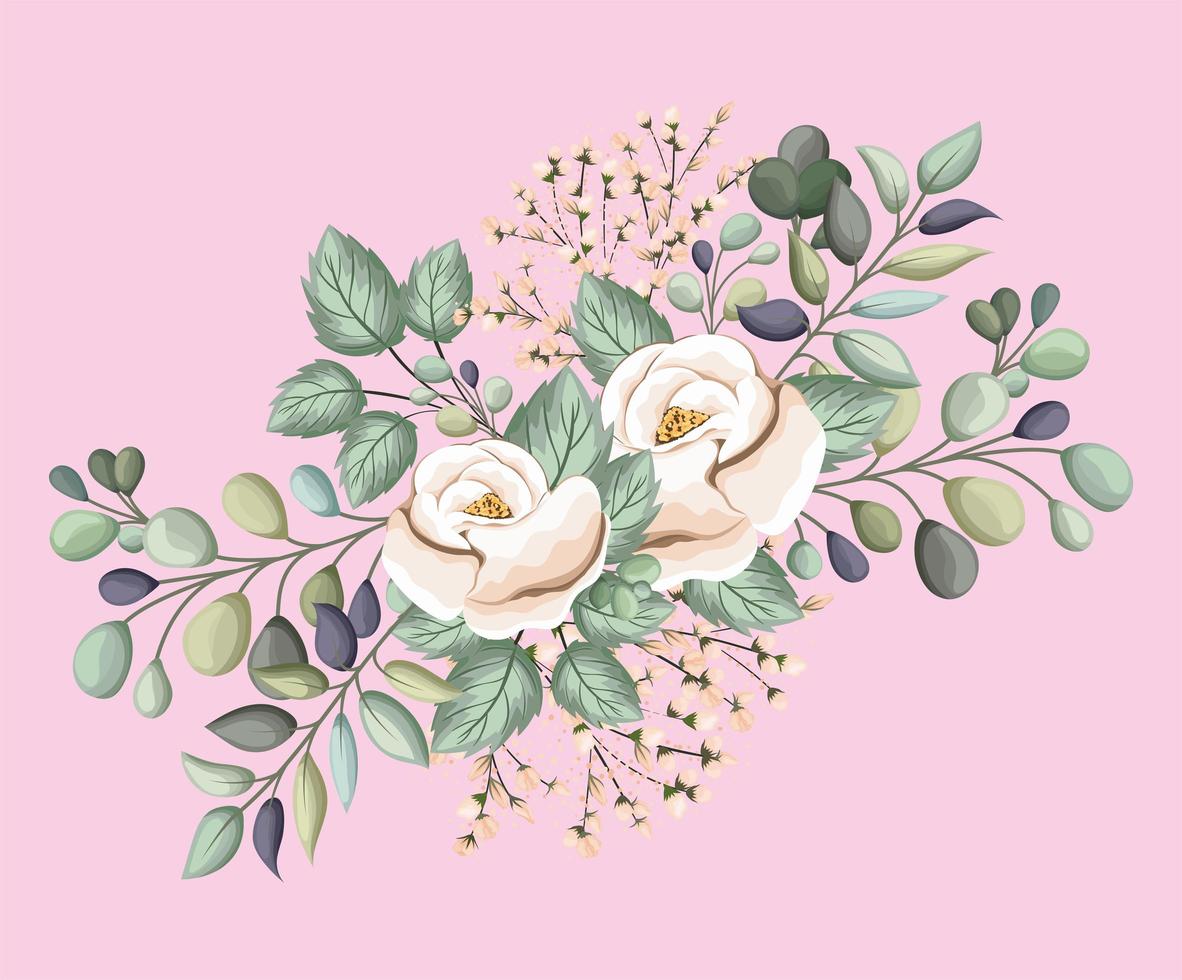 witte roze bloemen met bladeren die vectorontwerp schilderen vector