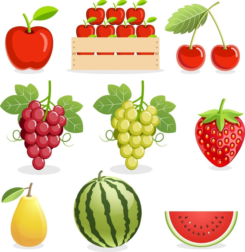 kleurrijke fruitreeks vector