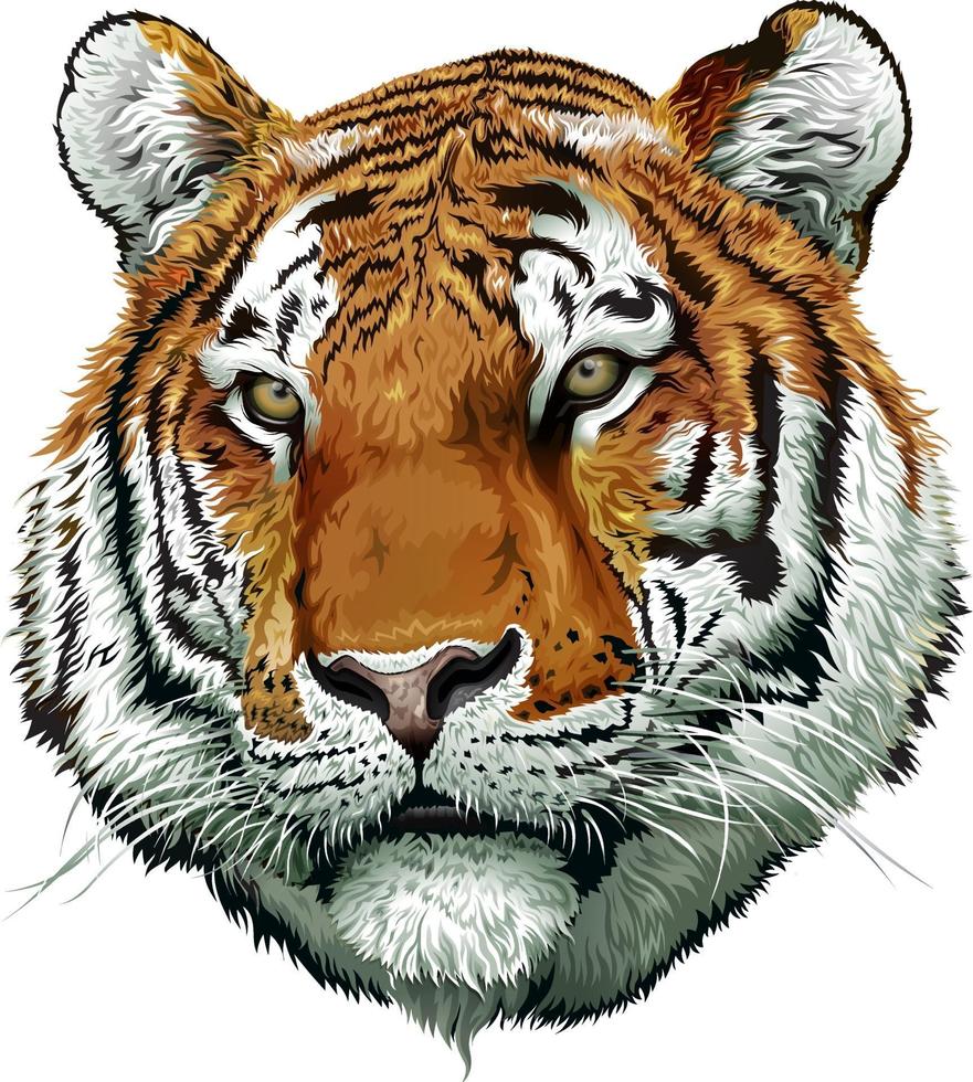 tijger gezicht kleur vector