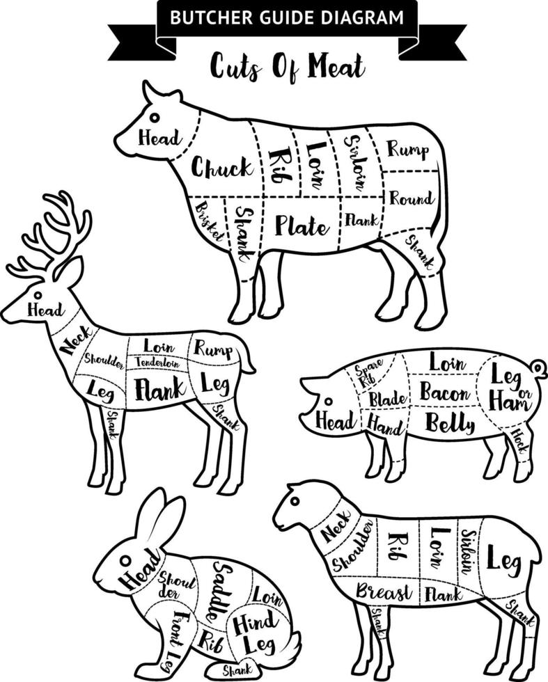 slager gids stukken vlees diagram. vector illustraties.