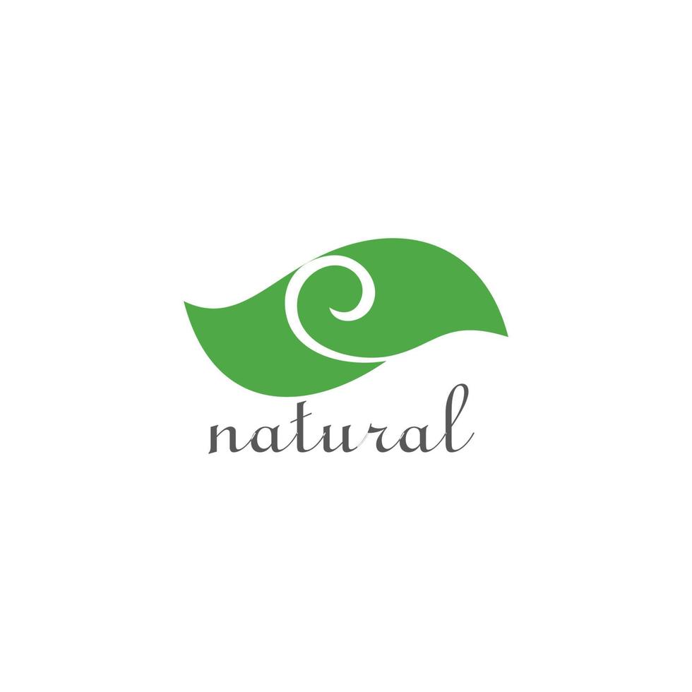 brief e eco groen blad natuurlijk symbool logo vector