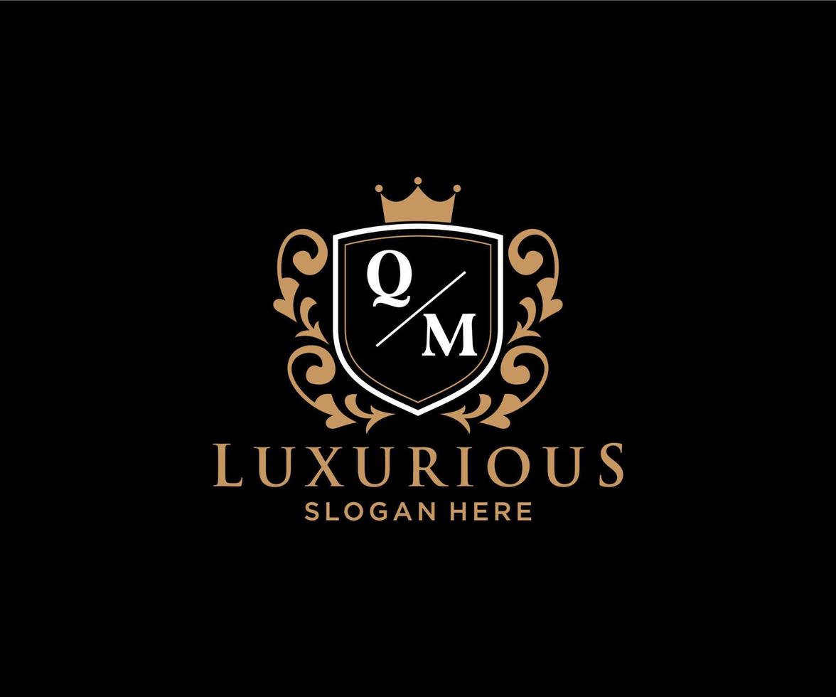 eerste qm brief Koninklijk luxe logo sjabloon in vector kunst voor restaurant, royalty, boetiek, cafe, hotel, heraldisch, sieraden, mode en andere vector illustratie.