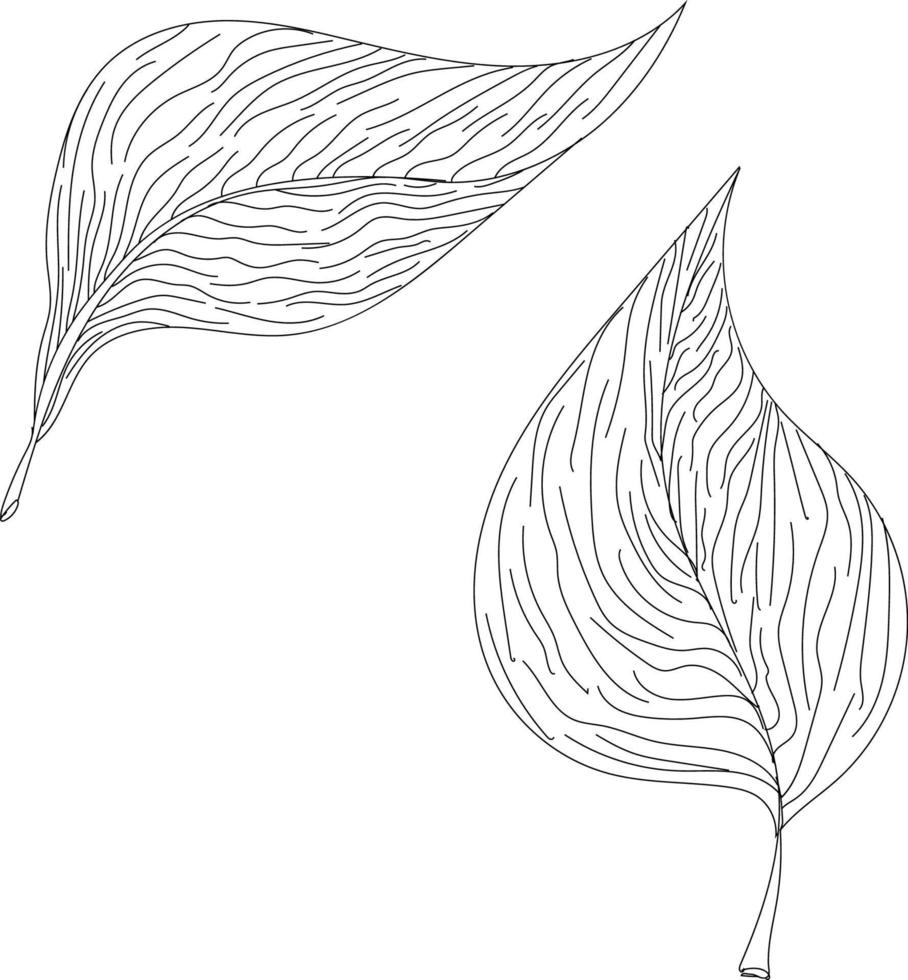 hand- trek bladeren vector, lijn getrokken bladeren illustratie vector