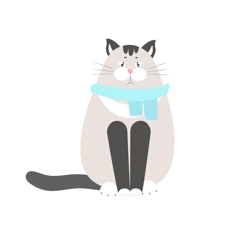 grappig kat in een sjaal, huisdier vector illustratie geïsoleerd. Siamees kat