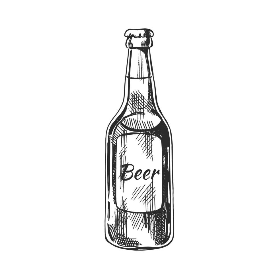 hand getekend schetsen van bier fles geïsoleerd Aan wit achtergrond. vector wijnoogst gegraveerde illustratie.