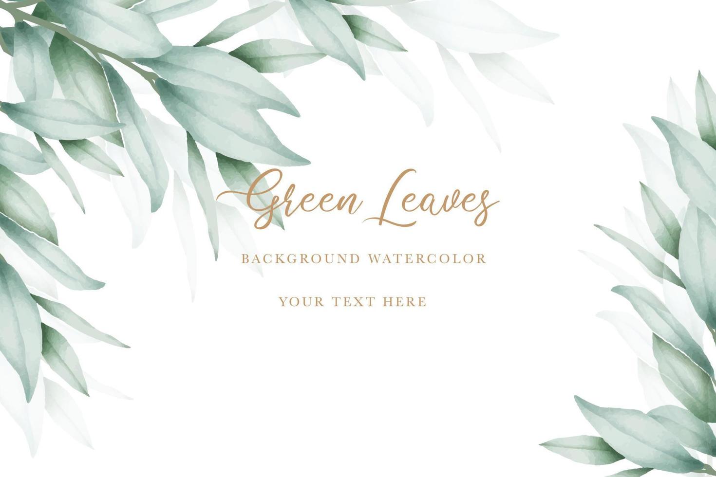 elegant eucalyptus bladeren achtergrond ontwerp vector