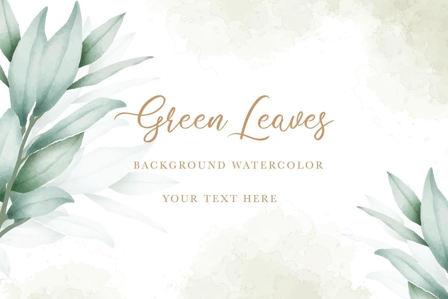 elegant eucalyptus bladeren achtergrond ontwerp vector