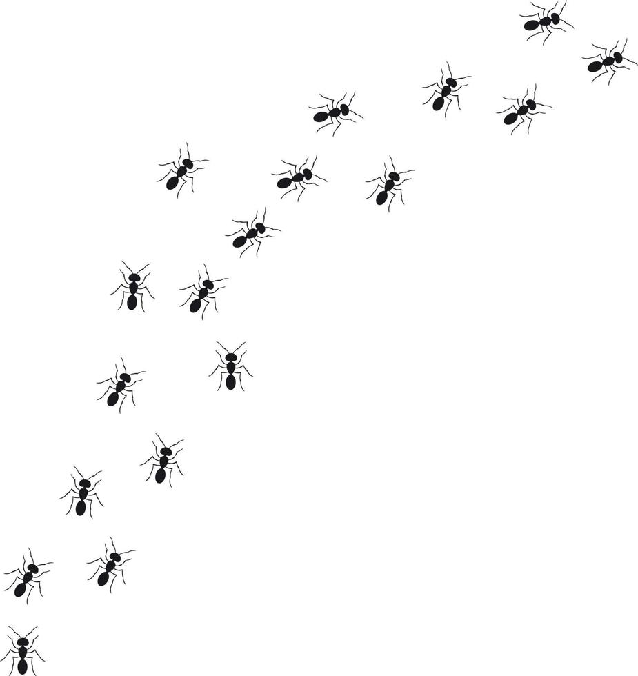 een pad van mieren rennen omhoog. visie van bovenstaande. vector